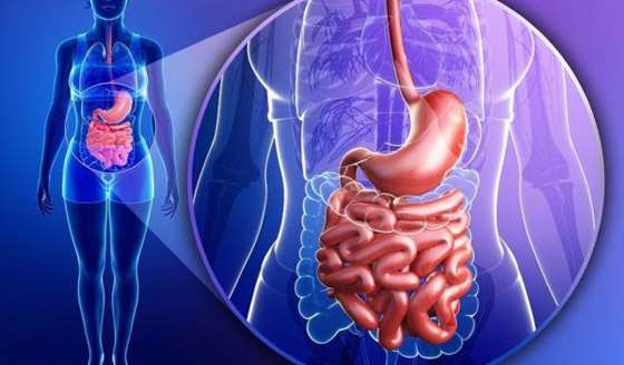 ماذا يحصل للجسم أثناء الصيام لمدة 30 يوما في رمضان؟ هل هو مفيد؟ صورة رقم 6