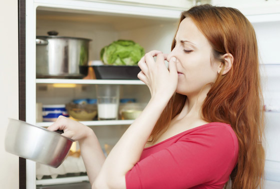 أمور عليك تجنبها عند تخزين الطعام فاختبار الرائحة لا ينجح دائما! فيديو صورة رقم 2