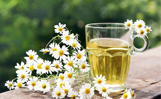 إليكم أفضل وأبرز أنواع الزيوت الطبيعية للعناية بالبشرة والشعر والجسم صورة رقم 3