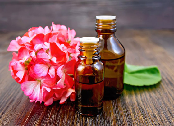 إليكم أفضل وأبرز أنواع الزيوت الطبيعية للعناية بالبشرة والشعر والجسم صورة رقم 4