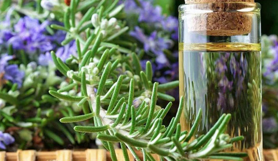 إليكم أفضل وأبرز أنواع الزيوت الطبيعية للعناية بالبشرة والشعر والجسم صورة رقم 5