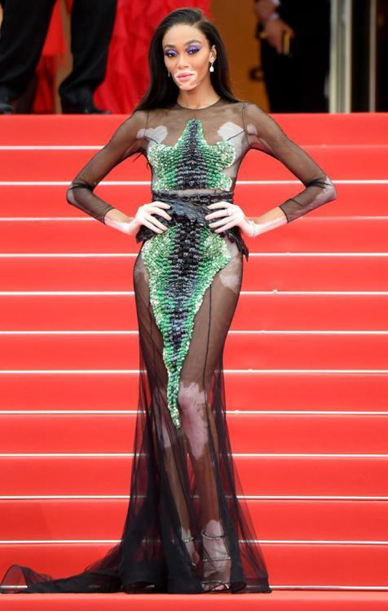 اطلالات عارضات الأزياء هي الأجمل والأكثر تميزا في مهرجان كان.. صور صورة رقم 9