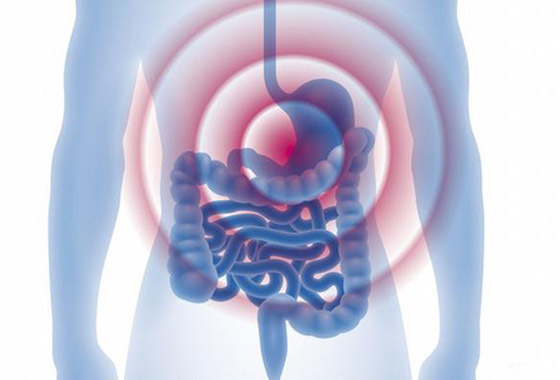 فوائد العسل فوق المتوقع: غذاء ودواء وصحة عالية وجمال البشرة صورة رقم 5 فوائد العسل فوق المتوقع: غذاء ودواء وصحة عالية وجمال البشرة صورة رقم 5