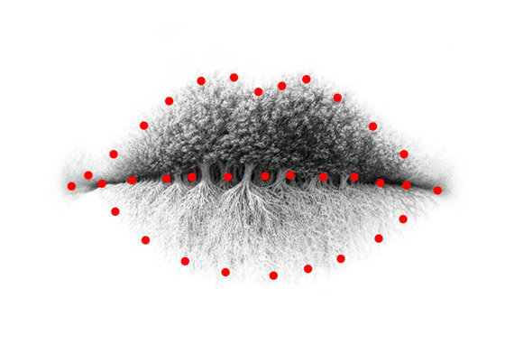 أول ما تراه في الصورة يظهر لك كثير من الامور عن شخصيتك صورة رقم 2