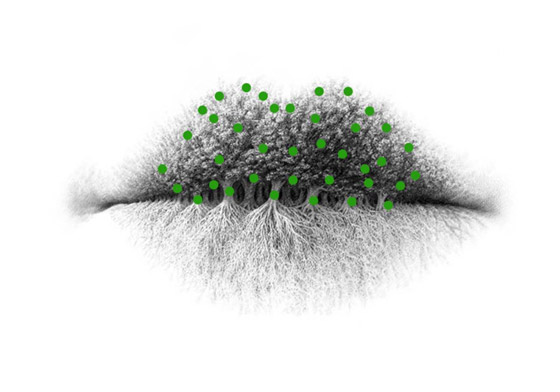 أول ما تراه في الصورة يظهر لك كثير من الامور عن شخصيتك صورة رقم 3