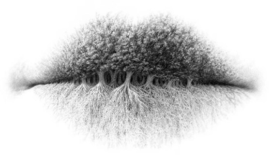 أول ما تراه في الصورة يظهر لك كثير من الامور عن شخصيتك صورة رقم 1