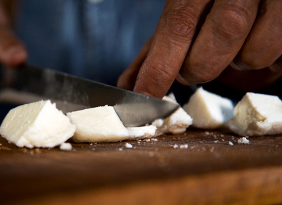 1130 دولارا للكيلو.. جبن الحمير في صربيا هو الجبن الأغلى في العالم! صورة رقم 13