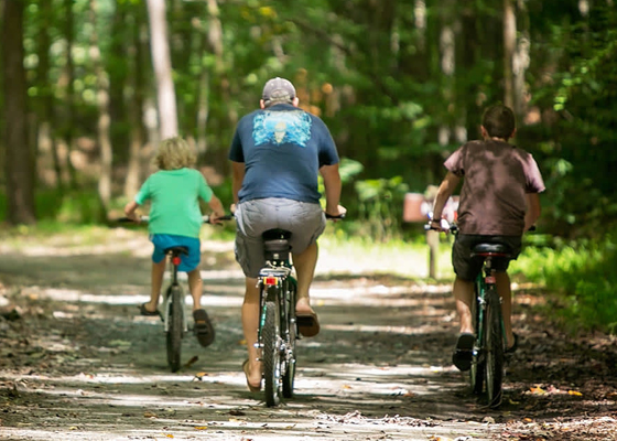 هذه الأنشطة تعزز صحتكم خلال فصل الصيف.. صورة رقم 4