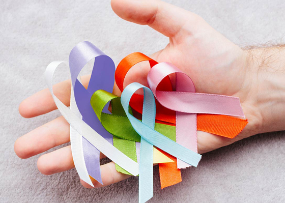 موجودة في كل منزل.. هذه الأطعمة تكافح السرطان صورة رقم 2 موجودة في كل منزل.. هذه الأطعمة تكافح السرطان صورة رقم 2