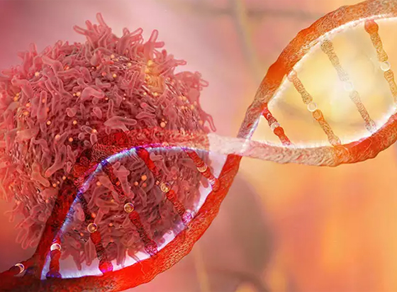 موجودة في كل منزل.. هذه الأطعمة تكافح السرطان صورة رقم 8 موجودة في كل منزل.. هذه الأطعمة تكافح السرطان صورة رقم 8