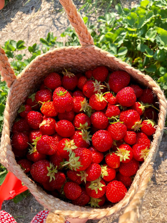 هل تعلم أن هذه الأطعمة تقاوم حروق الجلد..؟! صورة رقم 4