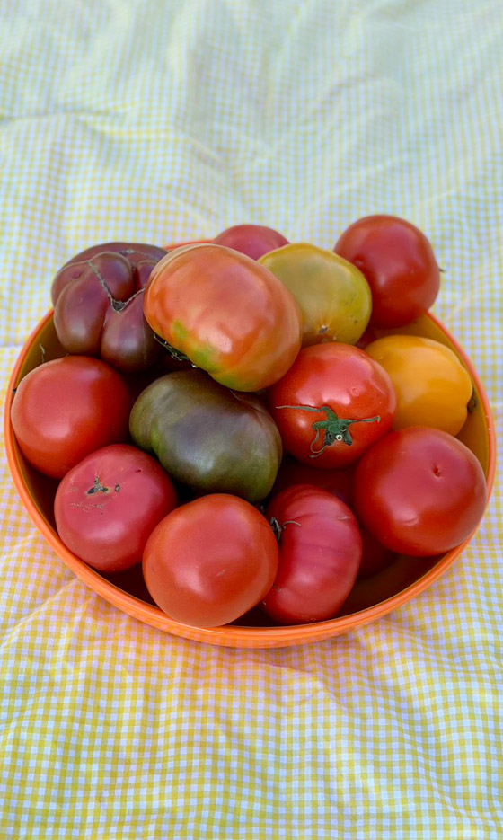 هل تعلم أن هذه الأطعمة تقاوم حروق الجلد..؟! صورة رقم 6