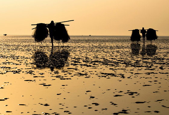 صورة رقم 1 - أغرب 10 شواطئ فى العالم: الشاطئ الأخضر، العملاق والمياه الساخنة صورة رقم 1 - أغرب 10 شواطئ فى العالم: الشاطئ الأخضر، العملاق والمياه الساخنة
