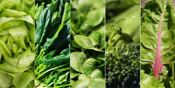 هذه الأطعمة تقي من ضعف النظر صورة رقم 7