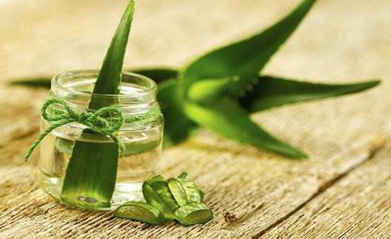 5 خلطات مدهشة وفعالة لتطويل الشعر بسرعة صورة رقم 1 5 خلطات مدهشة وفعالة لتطويل الشعر بسرعة صورة رقم 1