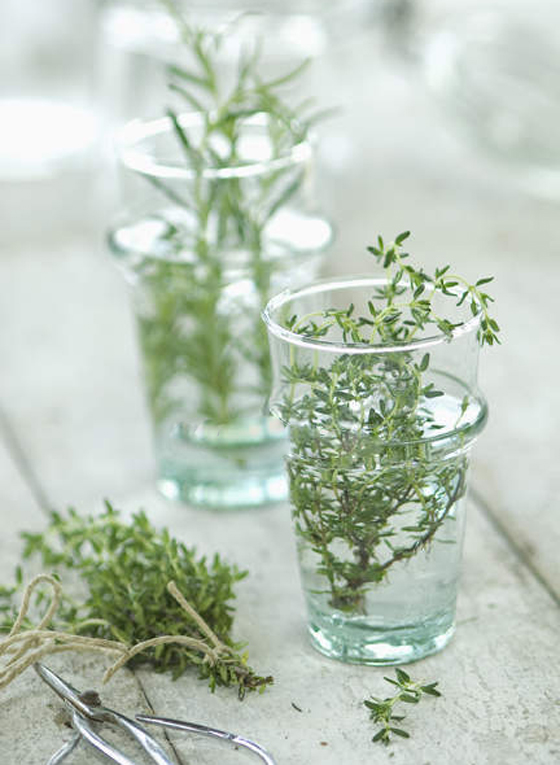 5 خلطات مدهشة وفعالة لتطويل الشعر بسرعة صورة رقم 5 5 خلطات مدهشة وفعالة لتطويل الشعر بسرعة صورة رقم 5