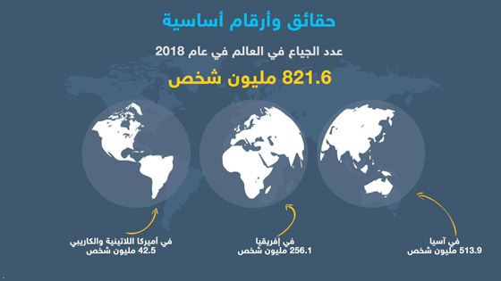 حقائق وأرقام أساسية حول عدد الجياع في العالم صورة رقم 1