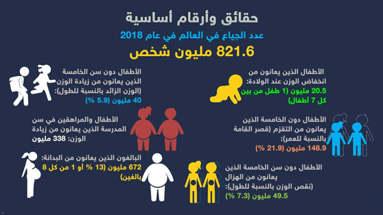 حقائق وأرقام أساسية حول عدد الجياع في العالم صورة رقم 2