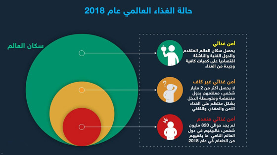 حقائق وأرقام أساسية حول عدد الجياع في العالم صورة رقم 4