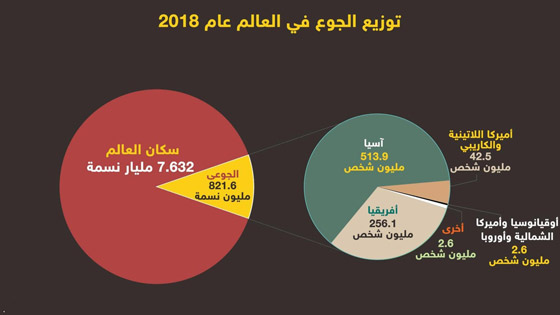 حقائق وأرقام أساسية حول عدد الجياع في العالم صورة رقم 5