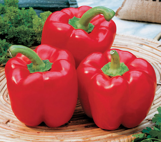 تناولوا هذه الأطعمة بكثرة خلال فصل الصيف لتحافظوا على صحتكم ونشاطكم صورة رقم 4