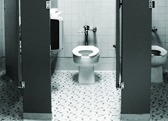 خبر صادم: مقاعد المراحيض العامة لا تنقل الأمراض! صورة رقم 6
