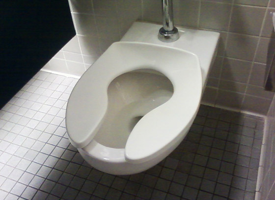 خبر صادم: مقاعد المراحيض العامة لا تنقل الأمراض! صورة رقم 4