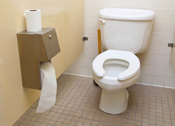 خبر صادم: مقاعد المراحيض العامة لا تنقل الأمراض! صورة رقم 2