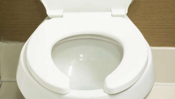 خبر صادم: مقاعد المراحيض العامة لا تنقل الأمراض! صورة رقم 7
