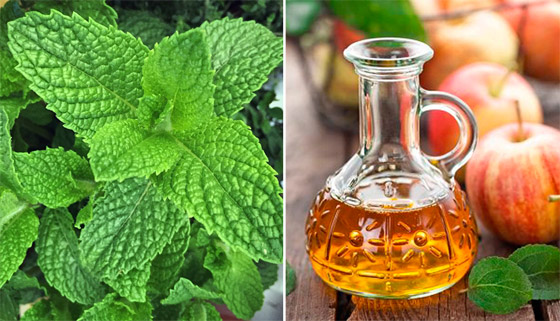 أفضل الخلطات الطبيعية لإزالة الرؤوس السوداء والتخلص منها صورة رقم 1 أفضل الخلطات الطبيعية لإزالة الرؤوس السوداء والتخلص منها صورة رقم 1