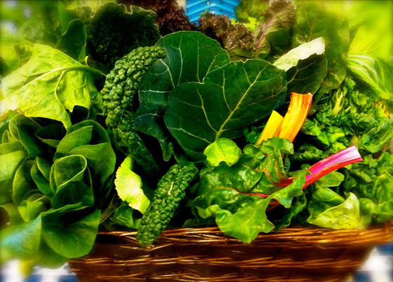 وجبات وعناصر غذائية مثالية لتعزيز نشاطك اليومي وتوفر الطاقة صورة رقم 3 وجبات وعناصر غذائية مثالية لتعزيز نشاطك اليومي وتوفر الطاقة صورة رقم 3