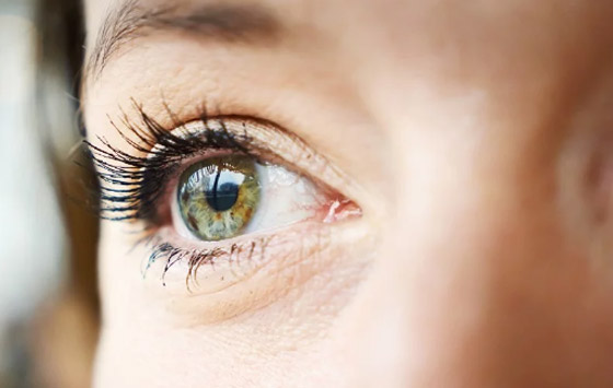 6 علامات لتساقط الشعر قد تشير إلى مشاكل صحية وأمراض خطيرة صورة رقم 2 6 علامات لتساقط الشعر قد تشير إلى مشاكل صحية وأمراض خطيرة صورة رقم 2