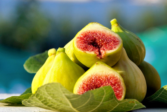 عشر فوائد صحية للتين على الصحة صورة رقم 8