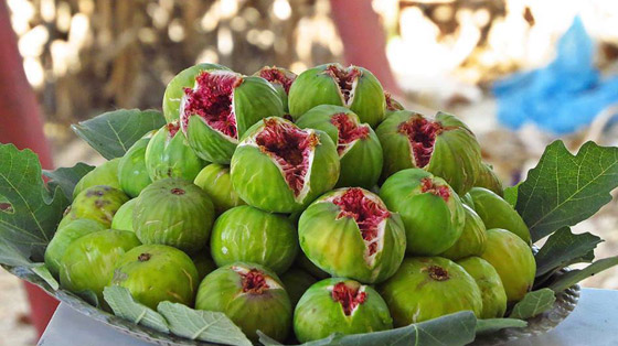 عشر فوائد صحية للتين على الصحة صورة رقم 9