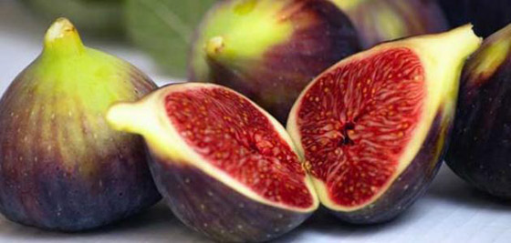 عشر فوائد صحية للتين على الصحة صورة رقم 7