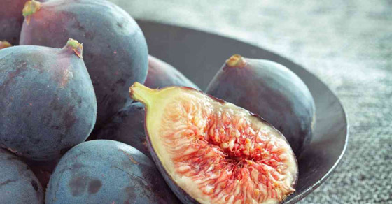 عشر فوائد صحية للتين على الصحة صورة رقم 3