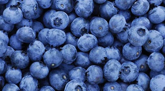 أطعمة الفلافونويد تحمي من السرطان وتطيل العُمر صورة رقم 4