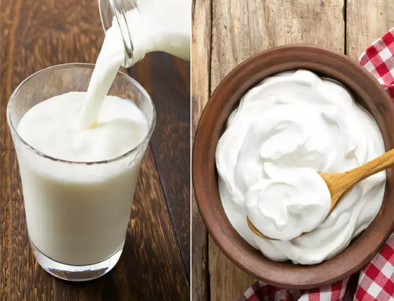 أغذية تساعد على زيادة التركيز لدى الأطفال صورة رقم 9 أغذية تساعد على زيادة التركيز لدى الأطفال صورة رقم 9