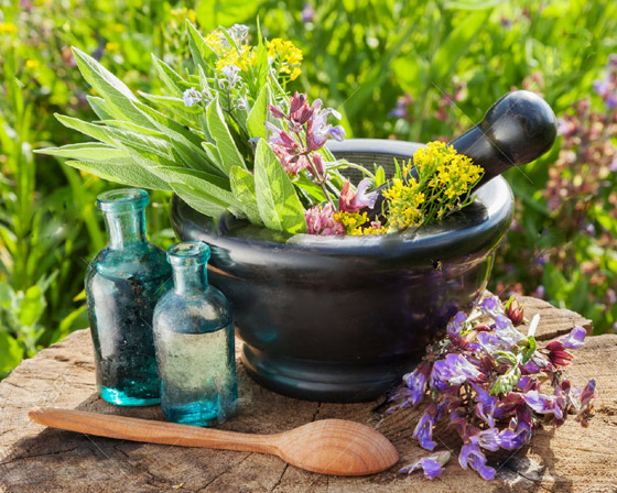 النباتات الطبية: كنوز الطبيعة تحوي مكوناتها قدرات هائلة.. فيديو صورة رقم 5