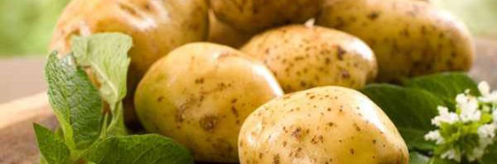البطاطس: فوائد عظيمة.. تعزز صحة القلب وتحمي العظام صورة رقم 5