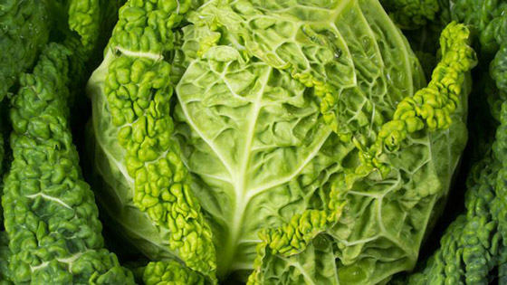 صور: 8 أنواع من الخضروات في أسواق ألمانيا قد لا تتعرف عليها! صورة رقم 2