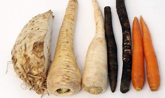 صور: 8 أنواع من الخضروات في أسواق ألمانيا قد لا تتعرف عليها! صورة رقم 7