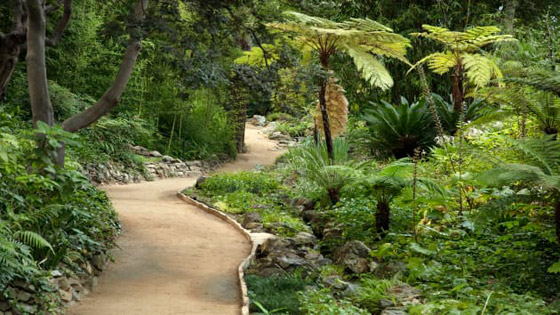 أغلى منزل للبيع في أمريكا.. تحفة فنية وحدائق تحت الأرض! فيديو وصور صورة رقم 22