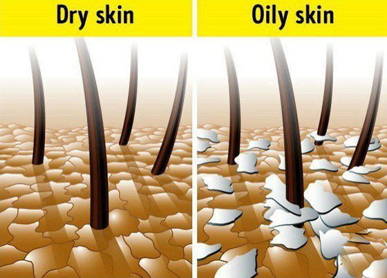 10 أكاذيب شائعة ومعلومات خاطئة عن العناية بالشعر صورة رقم 4