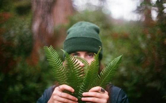 علاج لمرضى الاكتئاب.. بالنباتات صورة رقم 9