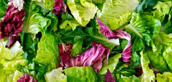 هل تفضل الخس الأحمر أم الأخضر؟.. إليك الفوارق والفوائد صورة رقم 5