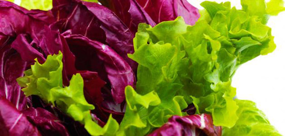 هل تفضل الخس الأحمر أم الأخضر؟.. إليك الفوارق والفوائد صورة رقم 1
