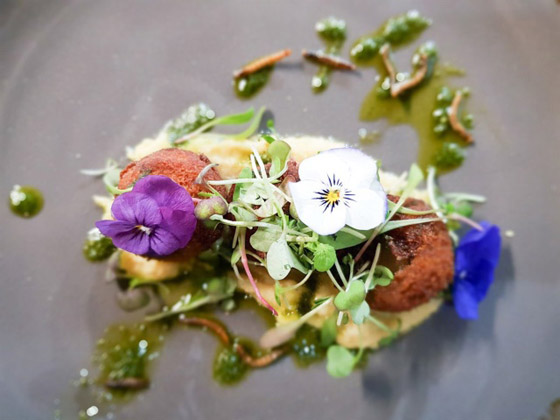 أول مطعم يقدم وجبات من الحشرات فقط في جنوب أفريقيا! فيديو وصور صورة رقم 5