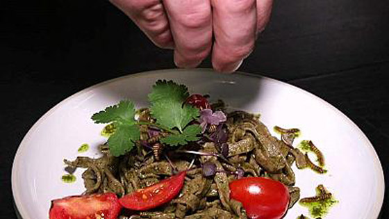 أول مطعم يقدم وجبات من الحشرات فقط في جنوب أفريقيا! فيديو وصور صورة رقم 6