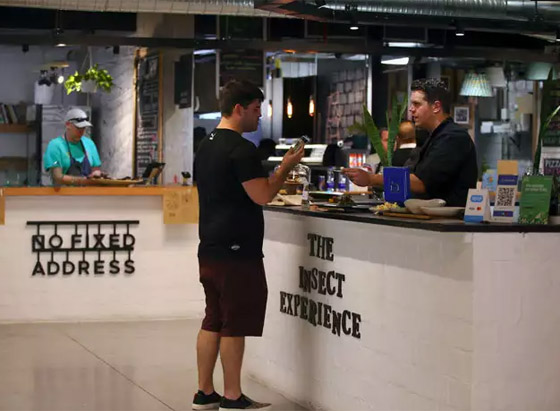 أول مطعم يقدم وجبات من الحشرات فقط في جنوب أفريقيا! فيديو وصور صورة رقم 13